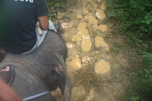 Thai 05 338