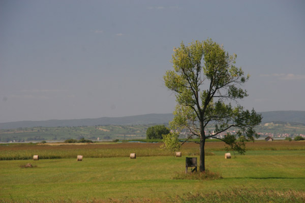 Urlaub06