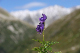Urlaub06