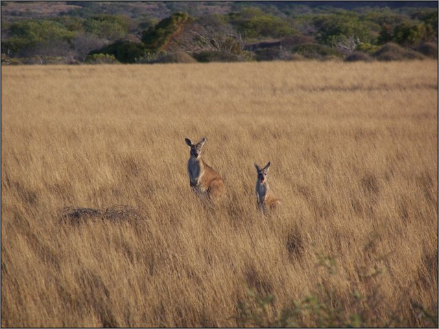 wa_1655.jpg