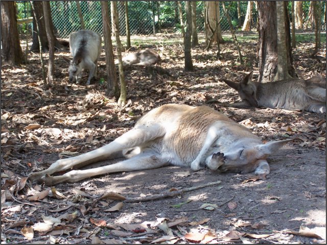 wa_1659.jpg