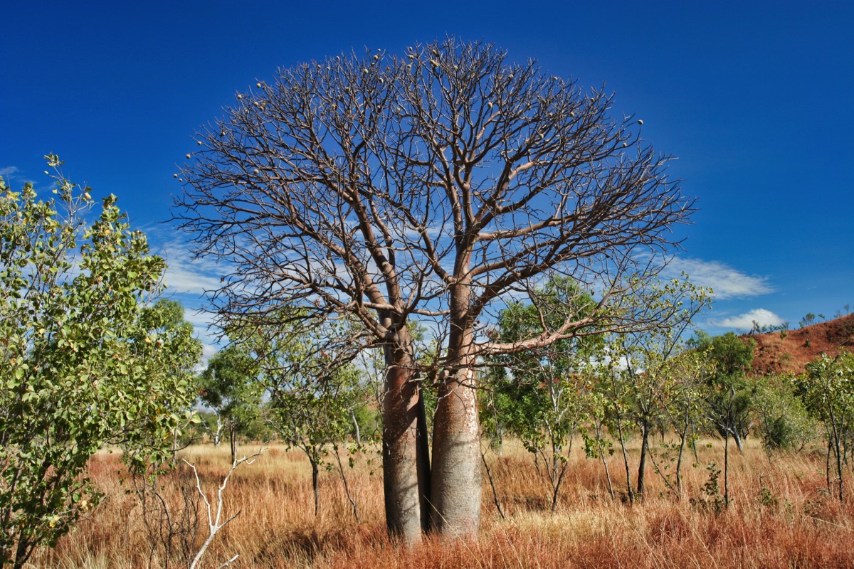 Stacks Image 14