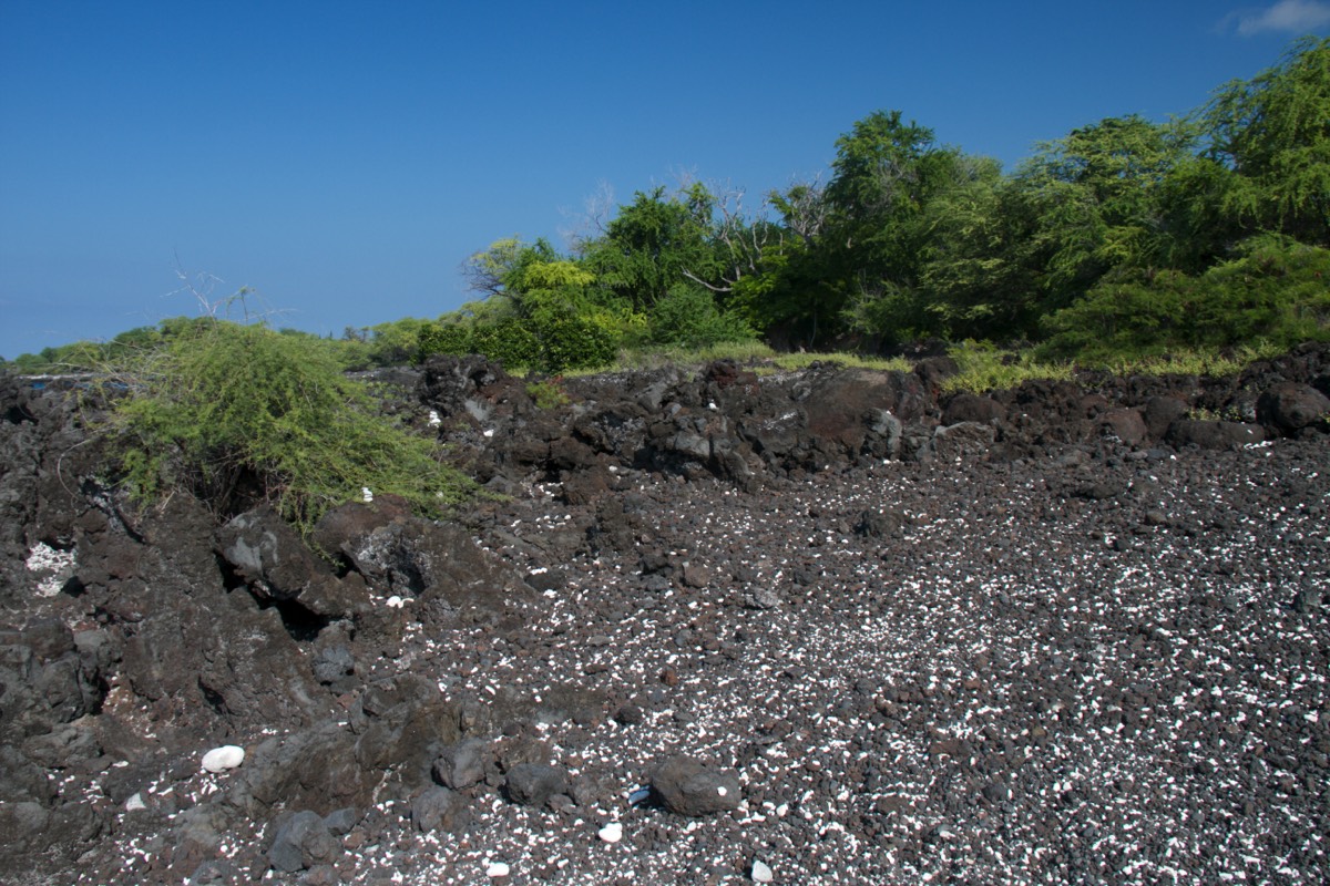 Stacks Image 48