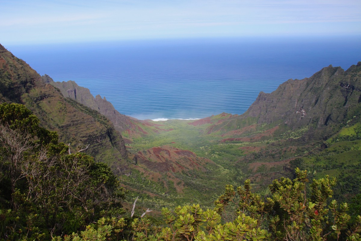 Stacks Image 128