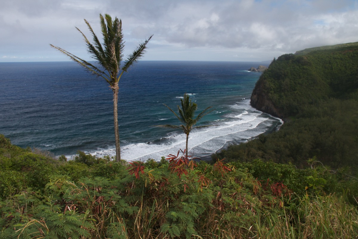 Stacks Image 62