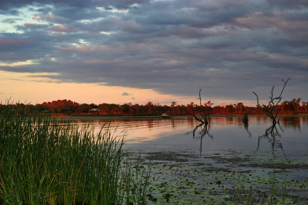 Stacks Image 82