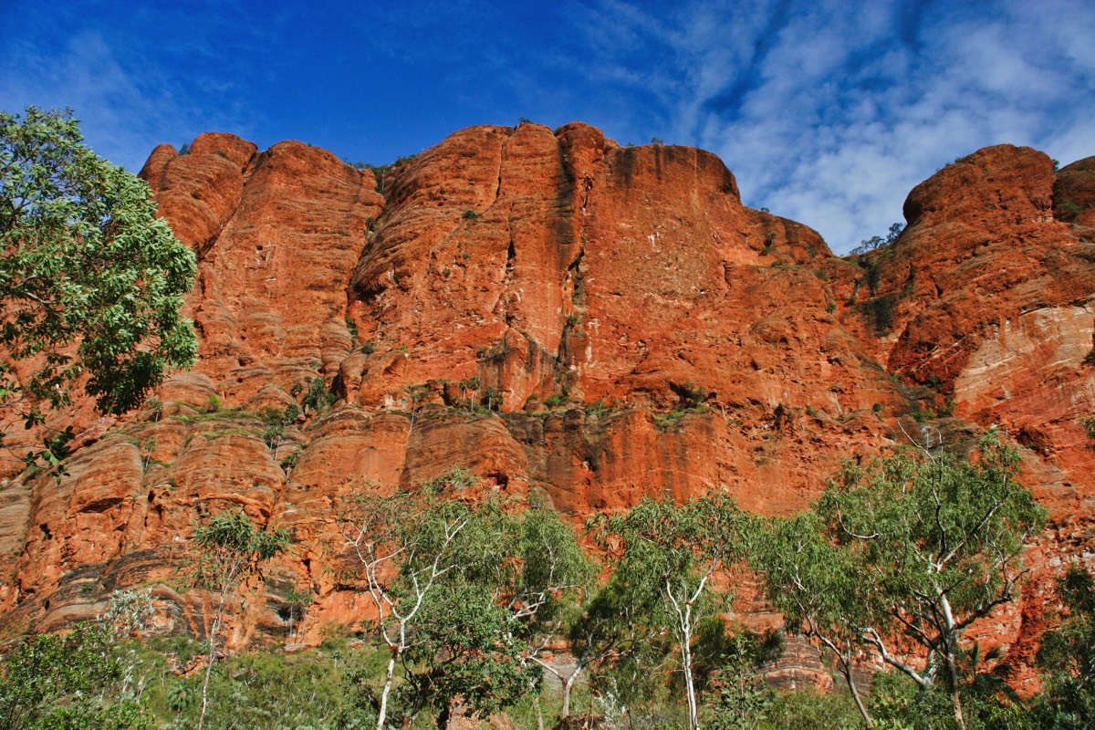Stacks Image 86