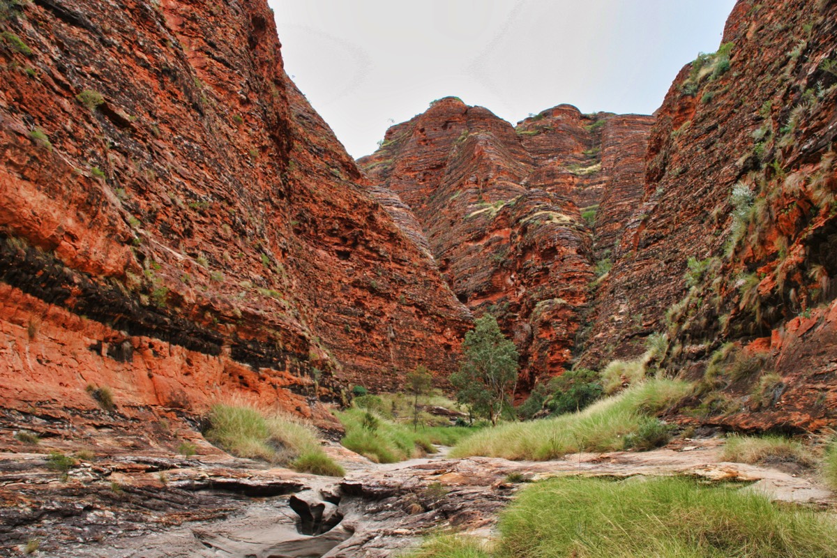 Stacks Image 90