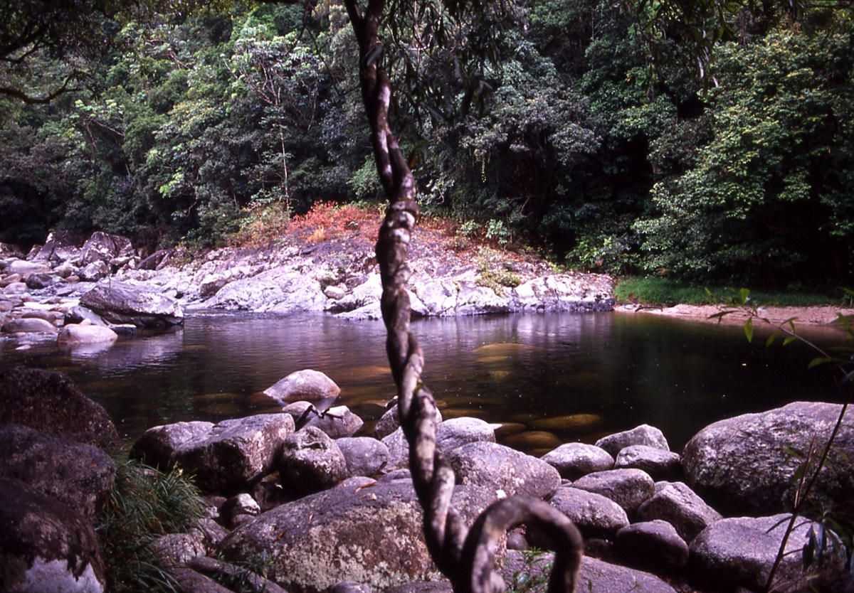 Stacks Image 62