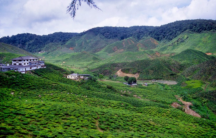 00273malaysia